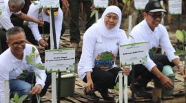 Gubernur Jawa timur  Khofifah 