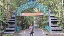 Pintu masuk hutan Alas Purwo banyuwangi jawa timur