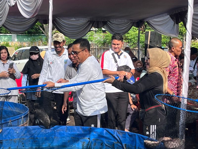 Walikota Probolinggo saat panen ikan gurame