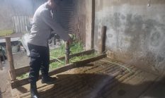 berita-pilihan-foto