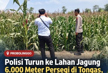headline-foto